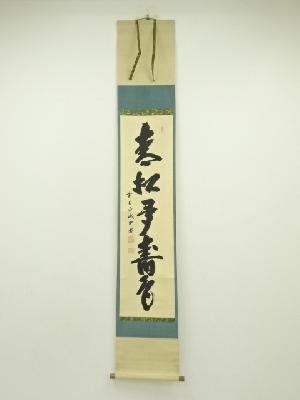 前大徳　藤井誡堂筆　「青松多寿色」一行書　肉筆紙本掛軸（共箱）